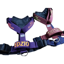 DOGOTERAPIA szelki Guard 4 cm z oznaczeniem