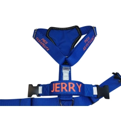 DOGOTERAPIA szelki Guard 4 cm z oznaczeniem