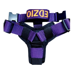 DOGOTERAPIA szelki Guard 4 cm z oznaczeniem