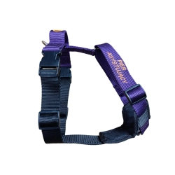 DOGOTERAPIA szelki Guard 4 cm z oznaczeniem