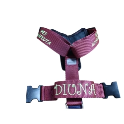 DOGOTERAPIA szelki Guard 4 cm z oznaczeniem