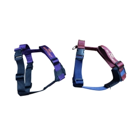 DOGOTERAPIA szelki Guard 4 cm z oznaczeniem