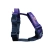 DOGOTERAPIA szelki Guard 4 cm z oznaczeniem