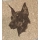 Doberman