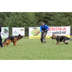 K9 / OBRONA – galeria klientów