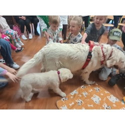 DOGOTERAPIA I PRACA SPOŁECZNA – galeria