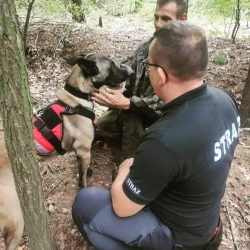 PSY RATOWNICZE SAR / GPR – galeria klientów