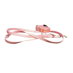 SZKOLENIOWY – obroża CLICK 4 cm + gruba smycz przepinana