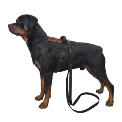 Pies model Rottweiler AI