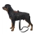 Pies model Rottweiler AI
