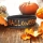 NAPIS 3