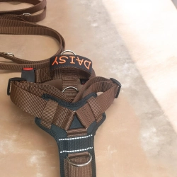 TROPOWE GUARD 4 cm – szelki z dodatkowym punktem wpięcia
