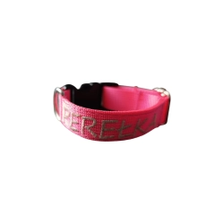 NEON – lekka obroża CLICK 2 cm regulowana