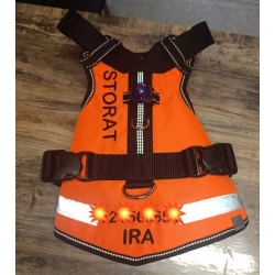 szelki RESCUE długie neon pomarańcz z carnymi haftami STORAT+IMIĘwidok z góry