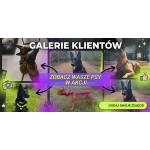 GALERIE W NASZYM SPRZĘCIE GALERIE W NASZYM SPRZĘCIE