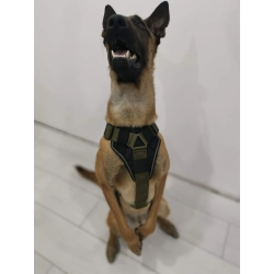 MILITARY K9 - szelki guard 4 cm na wymiar