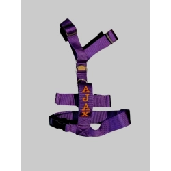 Szelki antyucieczkowe Guard 4 cm na wymiar