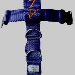 Szelki antyucieczkowe Guard 4 cm na wymiar