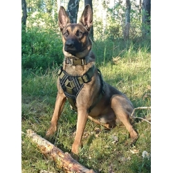 Military Dog- szelki /obrona, spacer ,tropienie, bieg- guardy/4 cm