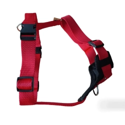 TROPOWE GUARD 4 cm – szelki z dodatkowym punktem wpięcia
