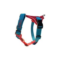 MIDI szelki 2,5 cm spacerowe Guard na wymiar