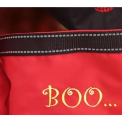 BOO