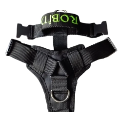 TROPOWE GUARD 4 cm – szelki z dodatkowym punktem wpięcia