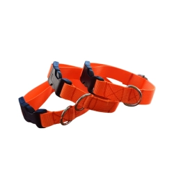 NEON – lekka obroża CLICK 2 cm regulowana