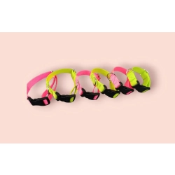 NEON – lekka obroża CLICK 2 cm regulowana